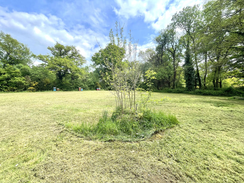 Terrain de loisirs - 8 300 m²