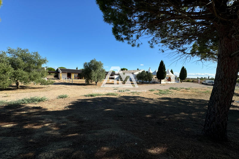 Local commercial - 11 000 m²