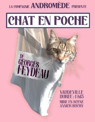 Théatre : Chat en poche