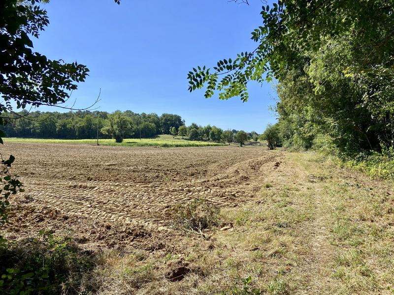 Maison traditionnelle - 373 m² - 5 pièces