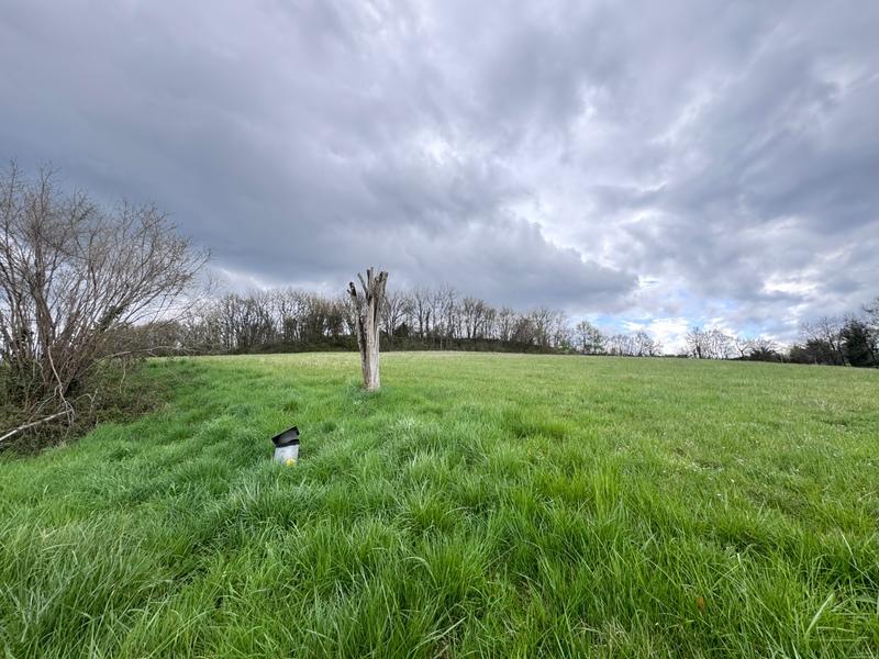 Propriété - 500 m² - 15 pièces