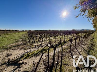 Terrain agricole - 9 763 m²