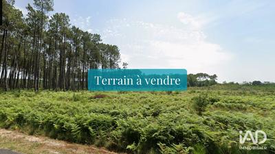 Terrain - 709 m²