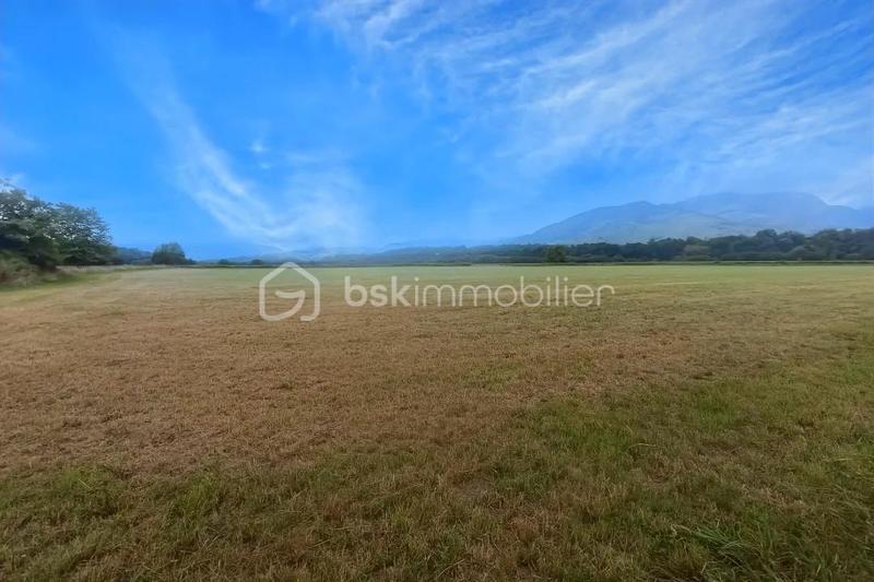 Terrain - 45 181 m²