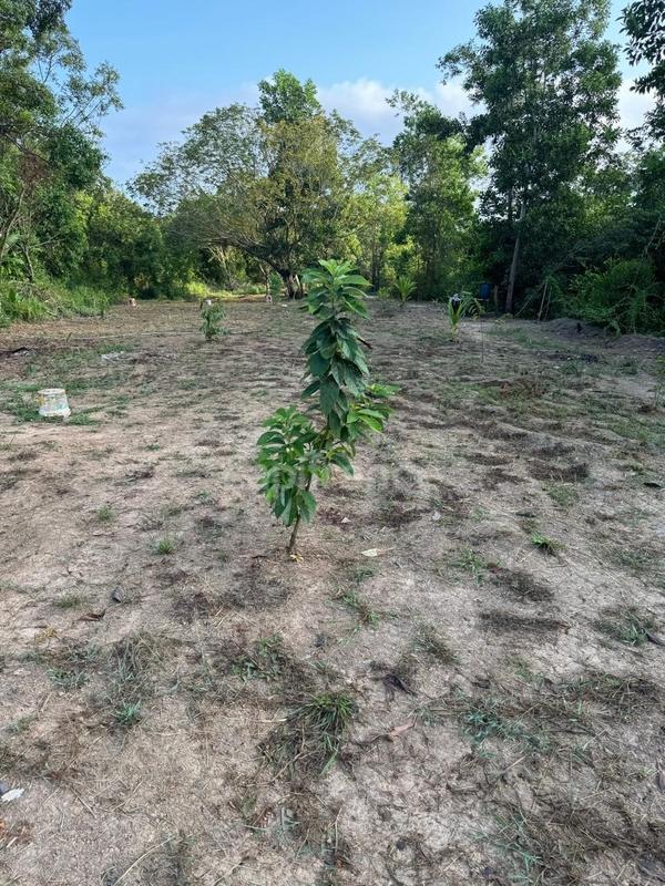 Maison de bois - 79 m² - 3 pièces