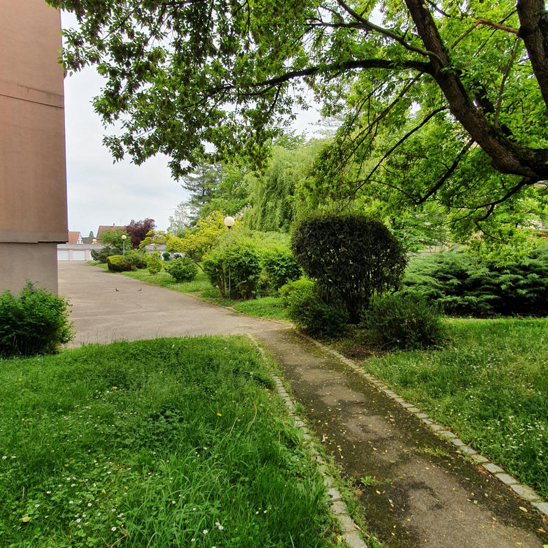 Appartement - 35 m² - 1 pièce