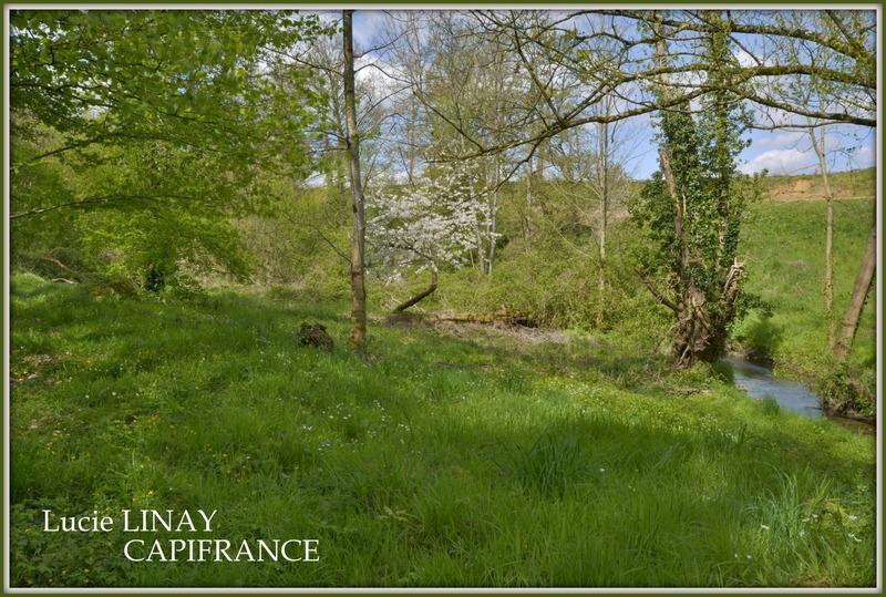 Maison de campagne - 168 m² - 5 pièces