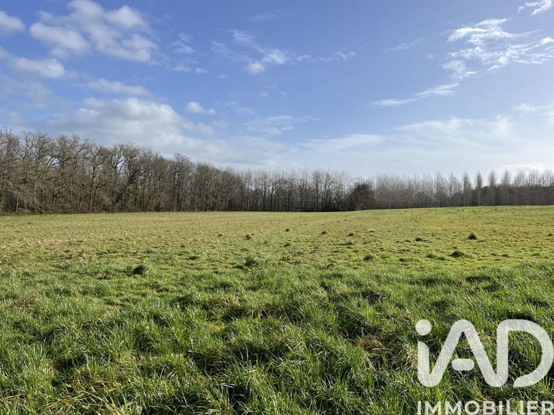 Terrain agricole - 132 080 m²