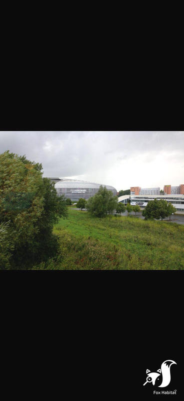 Appartement - 19 m² - 1 pièce