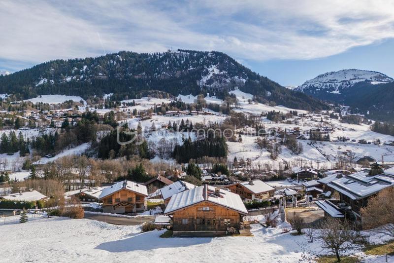 Châlet - 243 m² - 12 pièces