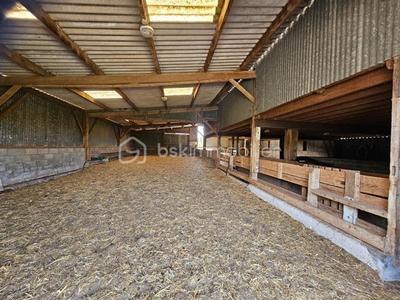 Terrain - 200 000 m²