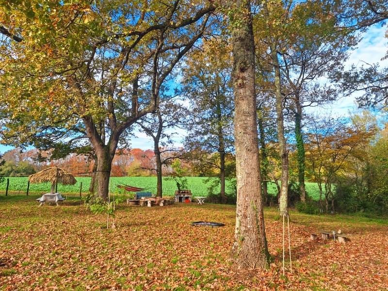 Maison traditionnelle - 250 m² - 9 pièces