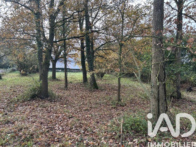 Ferme - 227 m² - 8 pièces