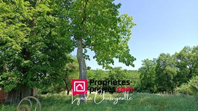 Grange - 200 m² - 1 pièce