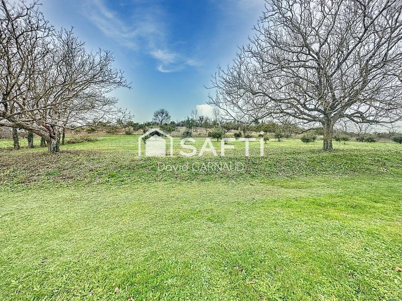 Maison de maîtres - 441 m² - 14 pièces