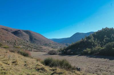 Bergerie - 288 m² - 6 pièces