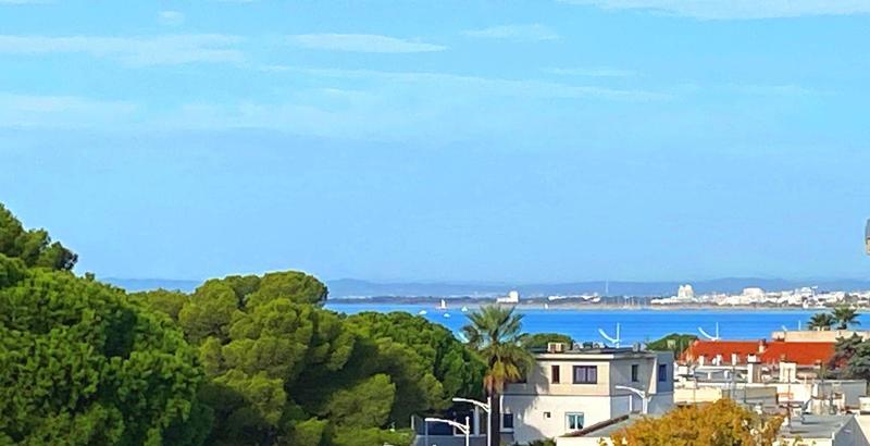 Appartement - 55 m² - 3 pièces