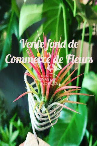 Fonds de commerce - 100 m²