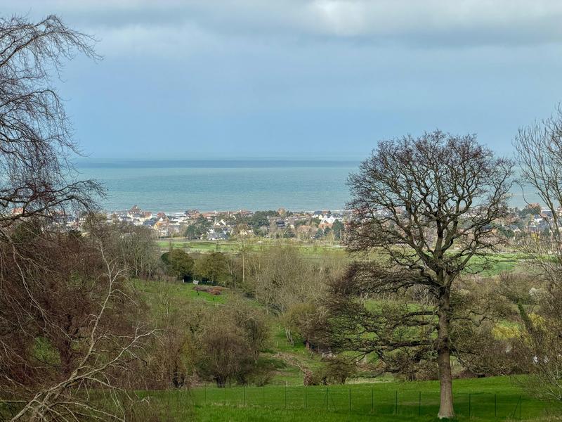 Maison - 36 m² - 2 pièces