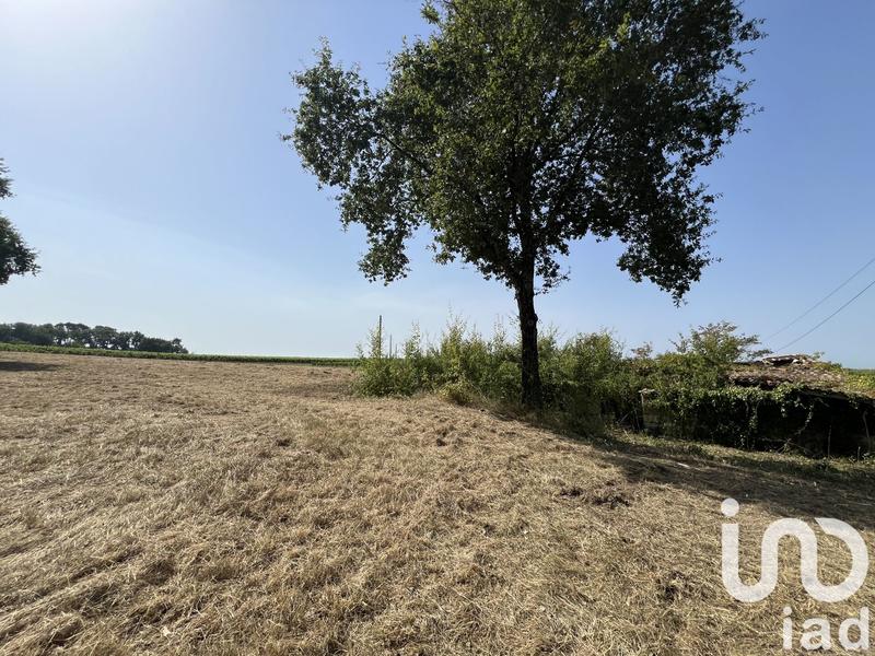Terrain - 11 204 m²