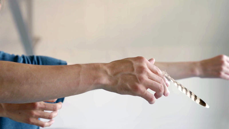 Spectacle - Murmure de l'envol