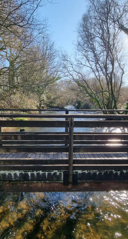 Maison - 300 m² - 10 pièces