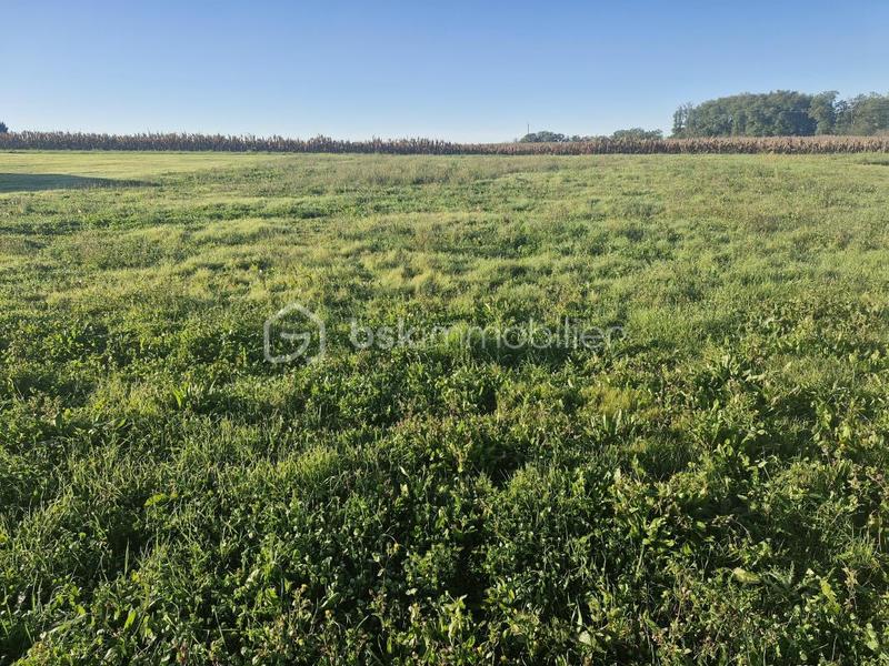 Terrain industriel - 1 664 m²