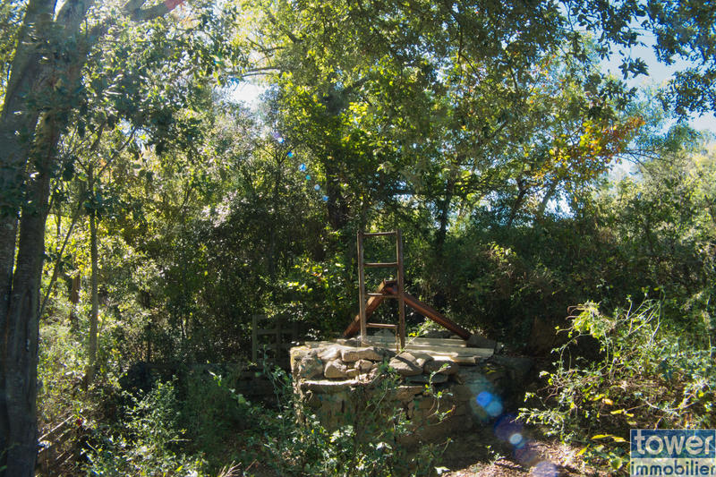 Terrain - 209 520 m²