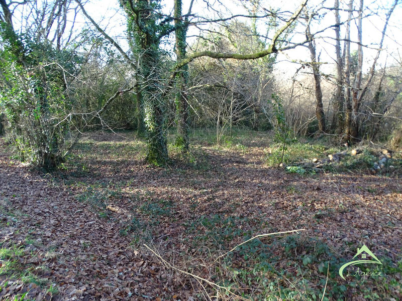 Maison ancienne - 210 m² - 7 pièces