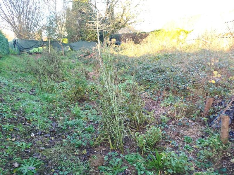 Maison - 38 m² - 2 pièces