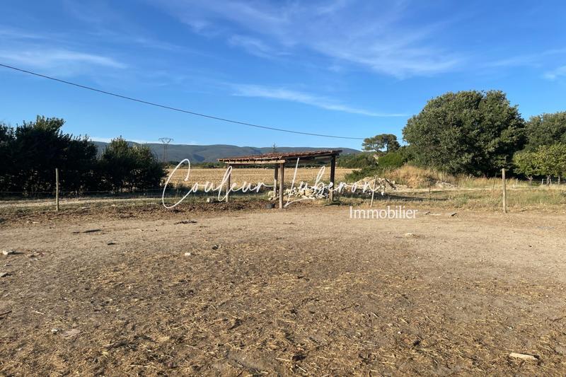 Maison en pierre - 200 m² - 6 pièces