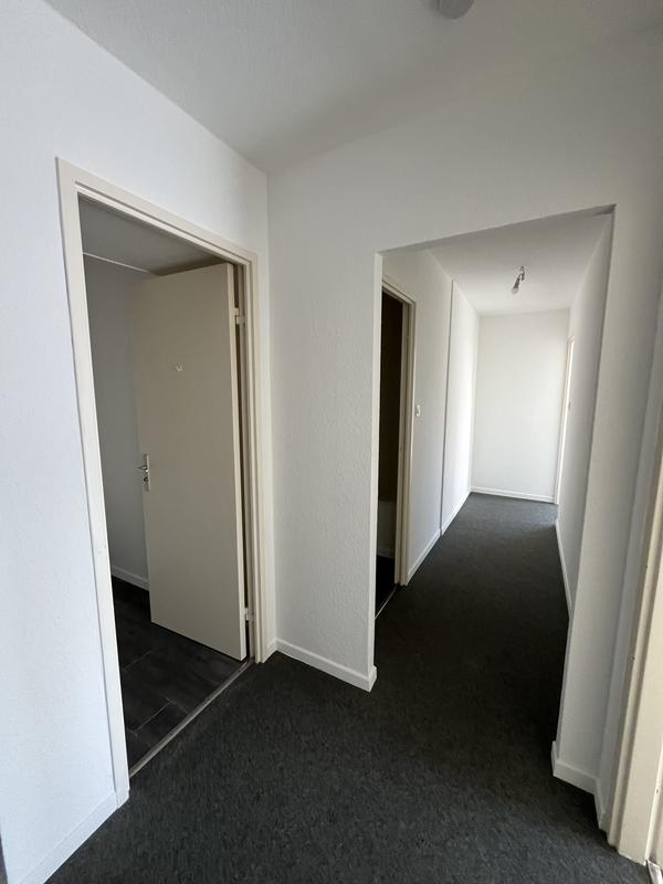 Appartement - 56 m² - 2 pièces