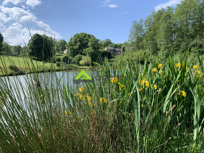 Maison - 270 m² - 11 pièces