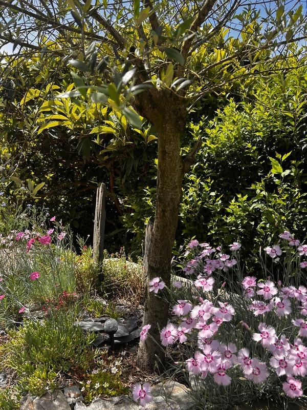 Maison - 115 m² - 6 pièces