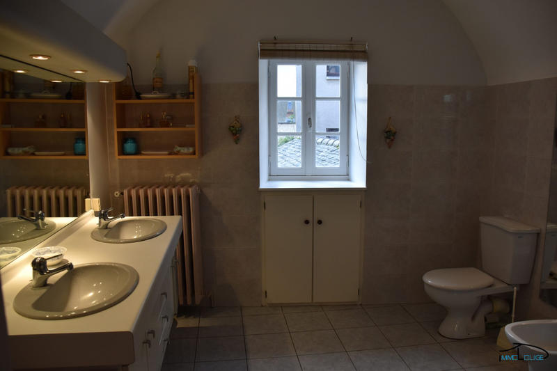 Maison ancienne - 456 m² - 9 pièces