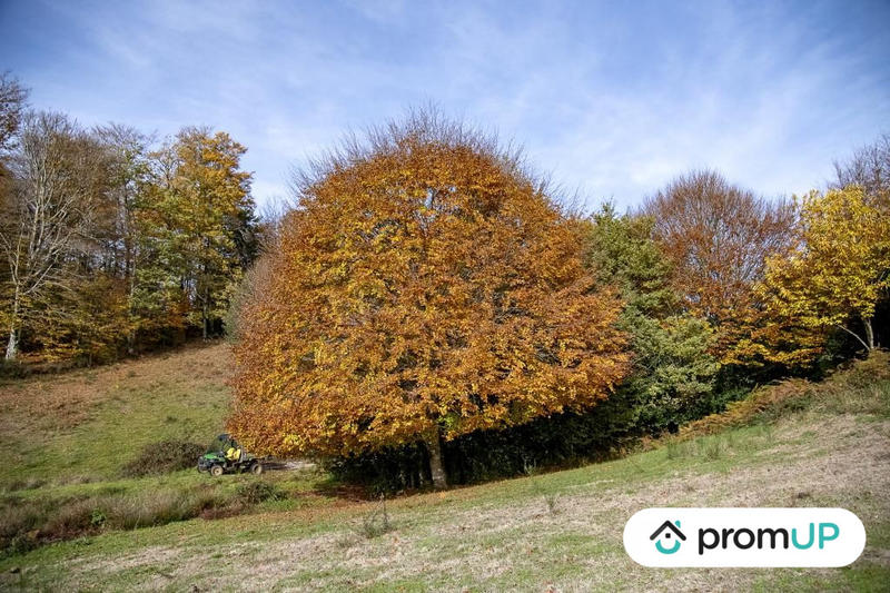 Terrain agricole - 30 568 m²