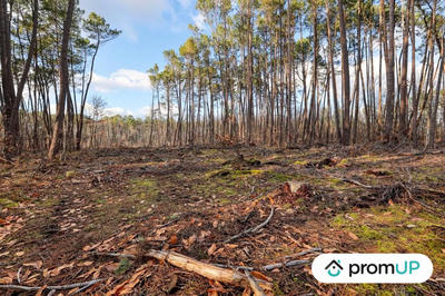 Terrain de loisirs - 1 570 m²