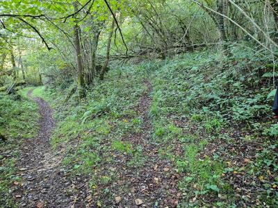 Terrain de loisirs - 16 281 m²