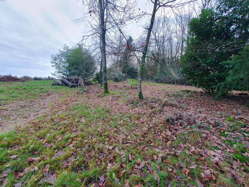 Terrain - 1 445 m²
