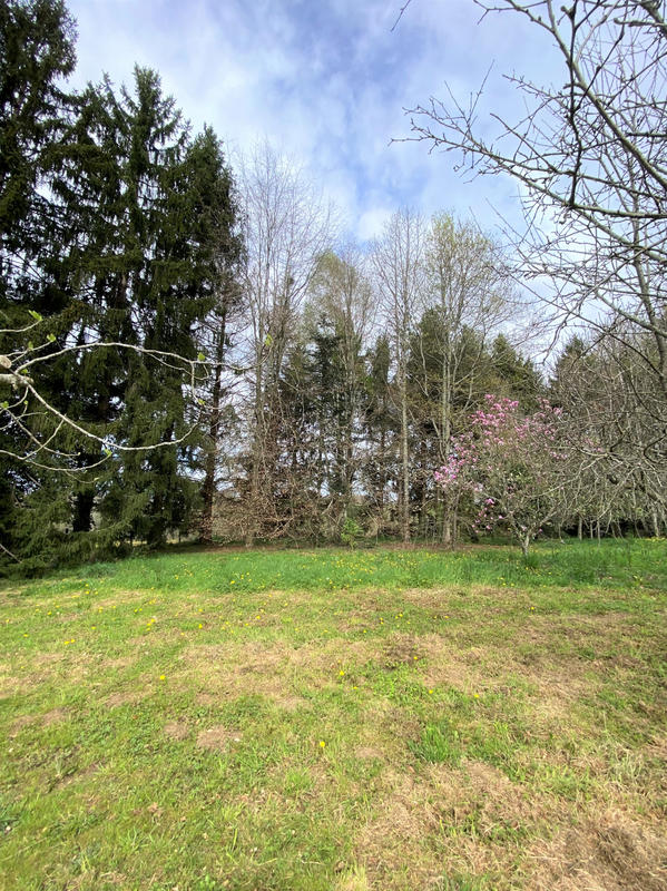 Maison - 230 m² - 8 pièces