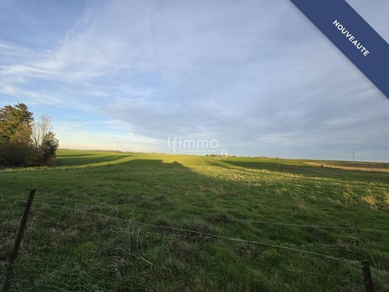 Ferme - 133 m² - 5 pièces