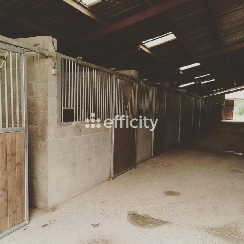 Maison de domaine équestre - 1 500 m²