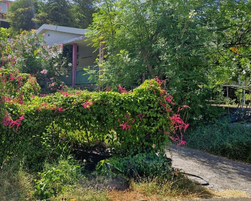 Maison ancienne - 130 m² - 4 pièces