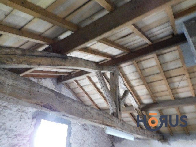 Viager - Maison ancienne - 103 m² - 6 pièces