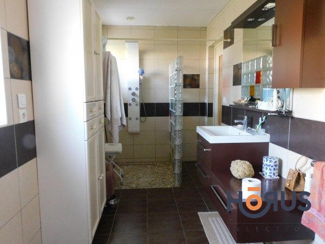 Viager - Maison ancienne - 210 m² - 4 pièces