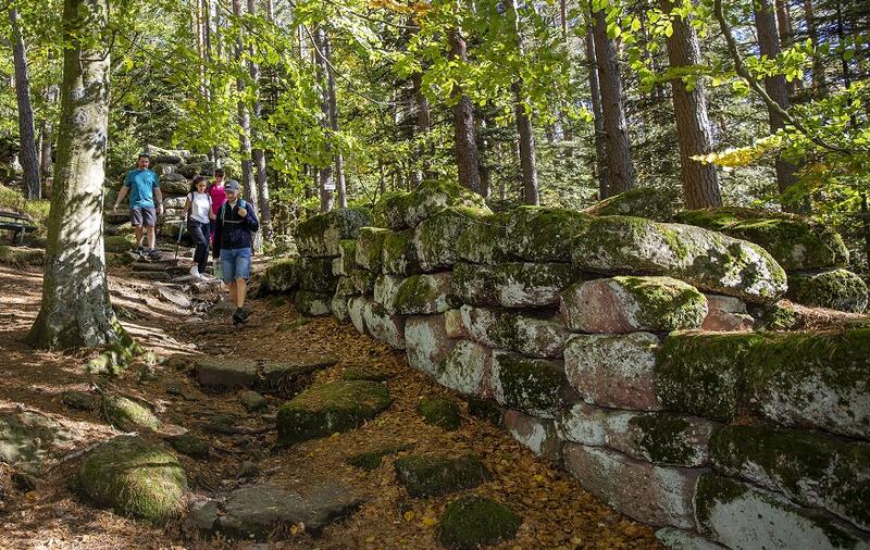 Balades Nature - les mystères du Mur Païen