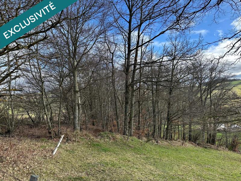 Ferme - 167 m² - 7 pièces