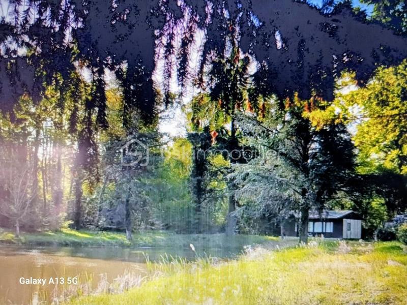 Terrain de loisirs - 45 089 m²