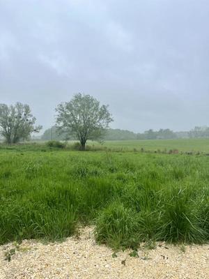 Terrain constructible - 551 m²