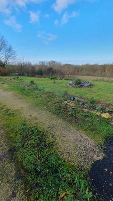 Maison - 125 m² - 4 pièces